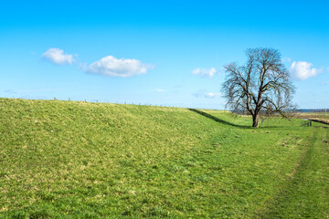 Landscape near Amerongen, Utrecht Province, The Netherlands