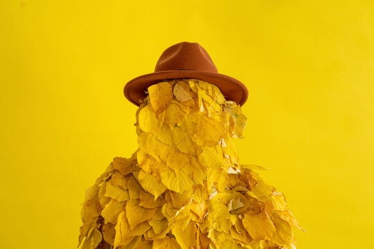 Woman wearing hat and leaf costume in front of yellow background