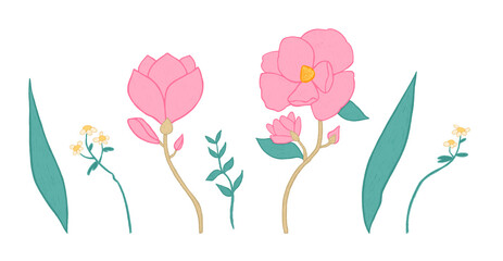 A clipart of spring delicate flowers: Magnolia and daisies. For cozy compositions. Cartoon digital hand drawn style. Modern boho atmosphere. Romantic beautiful flowers for a good mood.
