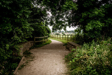 Fototapeta premium footpath in the park through old trees