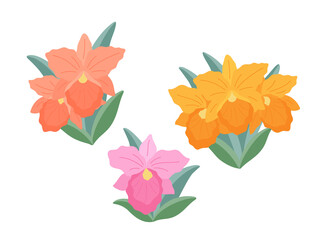 Three sprigs of orchid flowers (Rhynchosophrocattleya) on a white background, flat illustration. A set of simple small delicate bouquets for your design. Flat cartoon vector illustration.