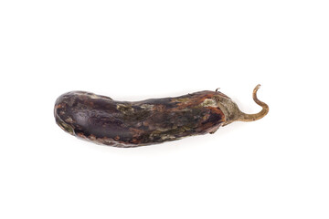 Mildew affected eggplant