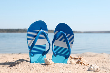 Stylish flip flops and seashells on sandy beach