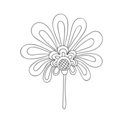 Blooming flower bud. Line sketch of a garden plant. Hand drawn vector illustration in doodle style.