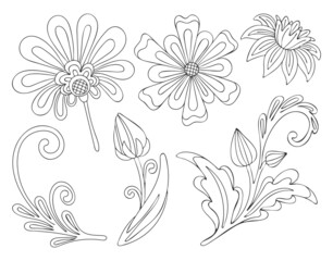Floral set, flower buds and leaves. Line sketch of garden flowering plants. Hand drawn vector illustration for coloring book.