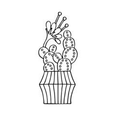 Coloring page of indoor cactus. Doodle style potted flower. Home plant. Hand drawn line art vector illustration. Isolated element.
