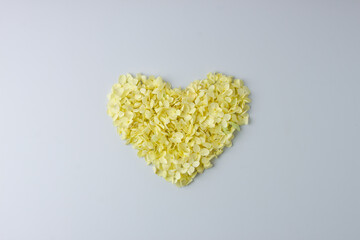 Cosmetic natural background with flowers on grey. Flat lay, copy space