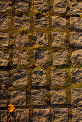 Vertical close up photo of cobble road with green grass growing between cobbles on the street