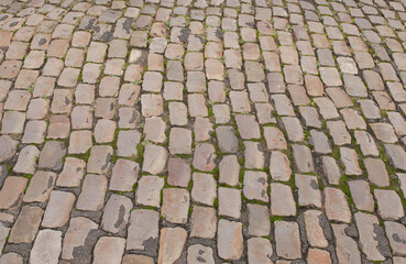 The texture of the stone walkway has a wave-like shape