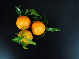 Fresh tangerines with green leaves on a black background. Top view