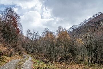 nature, landscape, mountains, rocks, snow, valley, gorge, vegetation, forest, trees, fir trees, grass, fallen leaves, road, stones, distance, space, autumn, day, sky, clouds, light, shadow, walk