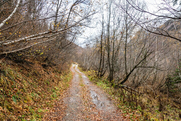 nature, landscape, mountains, rocks, snow, valley, gorge, forest, trees, fir trees, grass, foliage, road, stones, puddles, reflections, expanse, autumn, day, sky, clouds, clouds, light, shadow, walk
