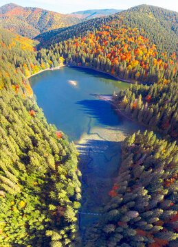 Synevyr lake autumn mountains