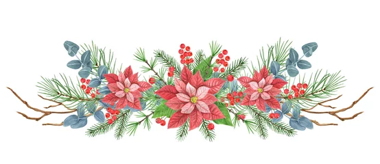  Christmas composition with poinsettia, greenery, spruce, pine tree twig and holly berries. New Year design ornate decoration garland. Isolate on white background. © Marisha