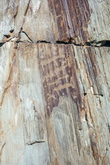 Rock paintings of the Altai. Petroglyphs. The Altai Republic.