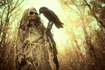 Fototapeta na wymiar sorcerer with black raven