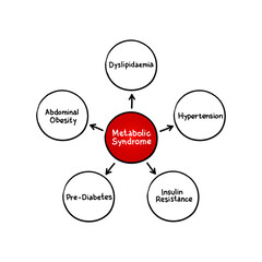 Metabolic Syndrome mind map process, medical concept for presentations and reports