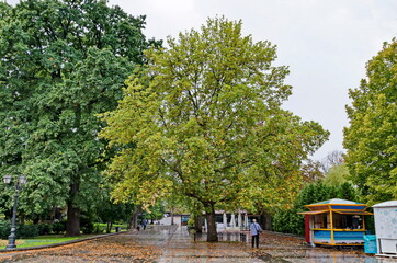 View of the park after heavy rain, Sofia, Bulgaria 