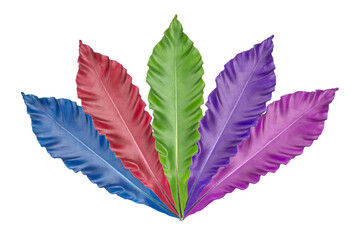 Ornamental leaves for decoration and display Colorful tropical leaves are perfect for backgrounds.