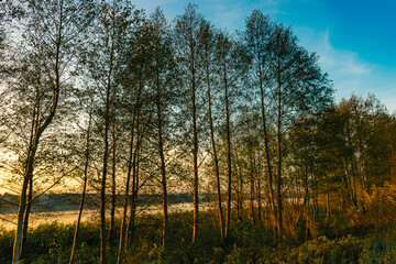 Sunset near the Narew River in nature