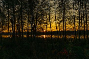 Sunset near the Narew River in nature