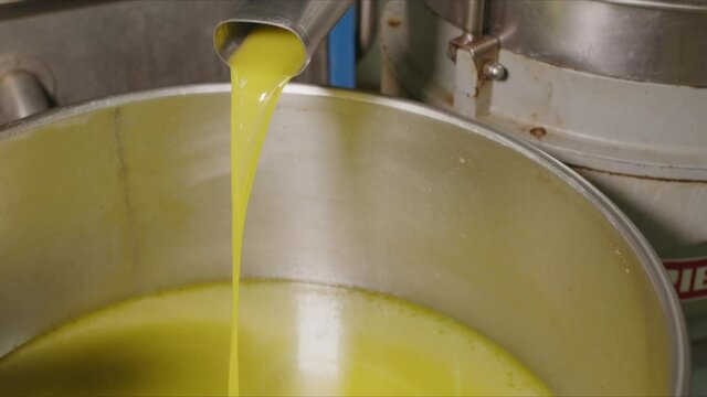 Frantoio per olio extra vergine di oliva
