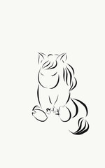 black and white pony