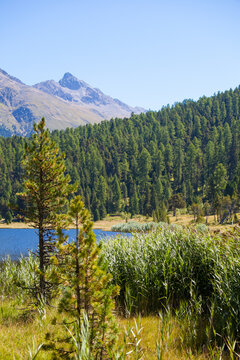 Swiss Alps idyllic lake