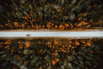 Aerial view of rural road with car in  autumn forest.