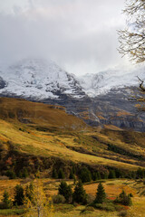 View of Landscape snow alp mountain in nature and environment at swiss from train down hill jungfrau mountain