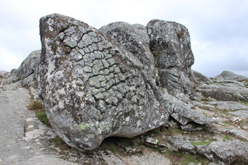 Pedras boroas do Junqueiro