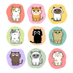 cute cats cartoon set vector