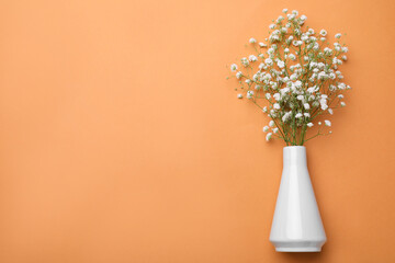 Beautiful gypsophila flowers in vase on orange background, top view. Space for text