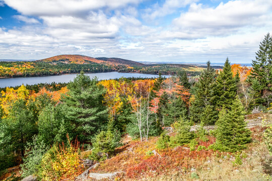 Autumn leaves bring color to the October landscape seen from Eagle Lake Overlook on the Loop Road of Acadia National Park on Mt. Desert Island in Down East Maine.