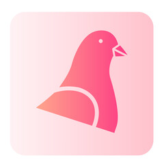 pigeon gradient icon