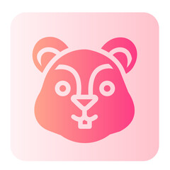 squirrel gradient icon