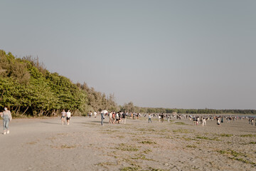 people on the beach