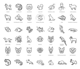 Outline web icon set - pet, pet shop