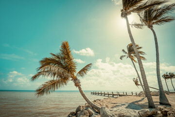tropical background with palm trees