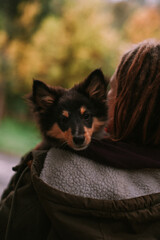 og owner holding puppy on hands