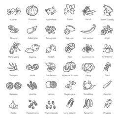 Vector collection. Vegetables and fruit thin line icon set. Ingredients