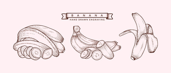 Set of organic fresh banana fruit Hand drawn engraving style retro illustration vector design template