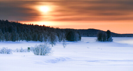 sunrise in the Taïga