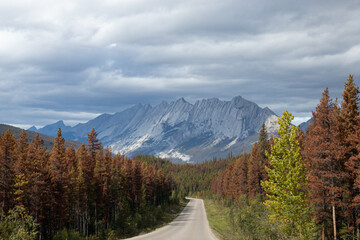 The Canadian Rockies