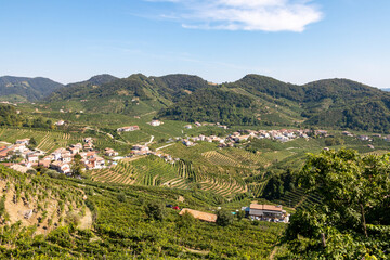 Fototapeta premium the hills of prosecco, unesco world heritage