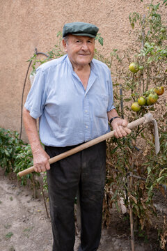 Elderly farmer with hoe in garden