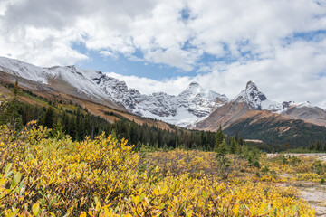 The Canadian Rockies