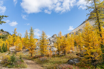 The Canadian Rockies