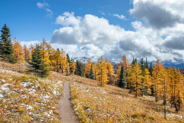 Fototapeta premium The Canadian Rockies
