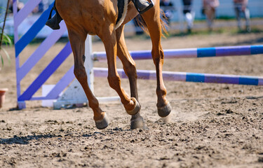 Horse jumping championship